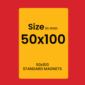 STANDARD MAGNETS 50x100