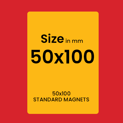 STANDARD MAGNETS 50x100
