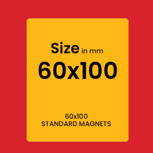 STANDARD MAGNETS 60x100