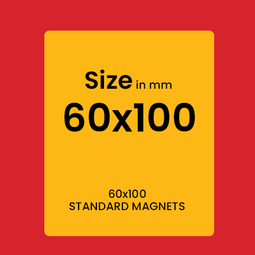 STANDARD MAGNETS 60x100