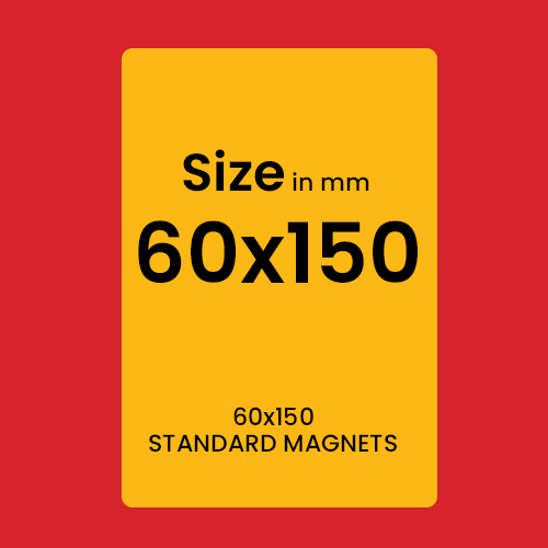 STANDARD MAGNETS 60x150