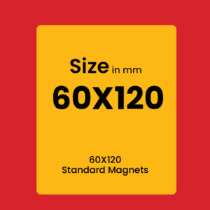 STANDARD MAGNETS 60x120