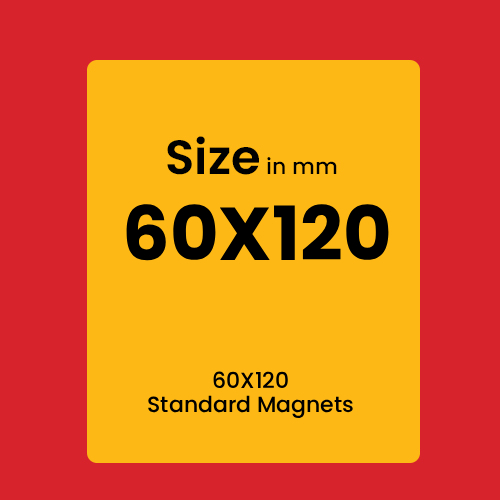 STANDARD MAGNETS 60x120